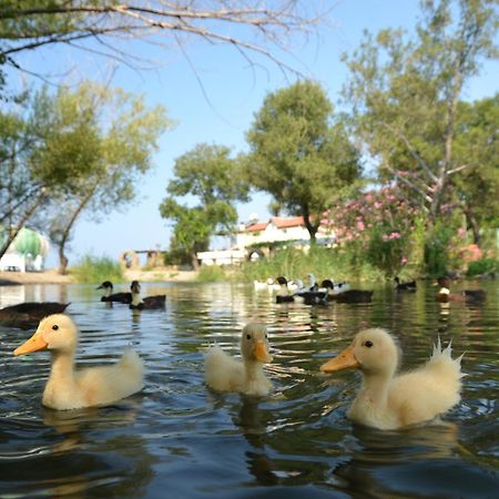 Yonca Lodge Fethiye Luaran gambar