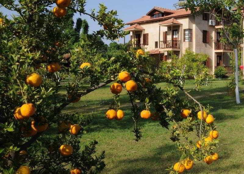 Yonca Lodge Fethiye Luaran gambar