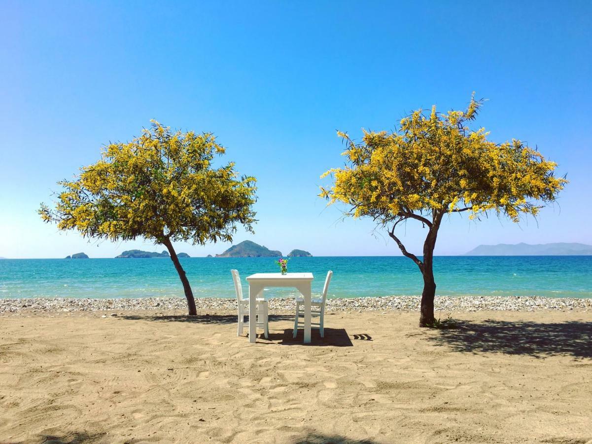 Yonca Lodge Fethiye Luaran gambar