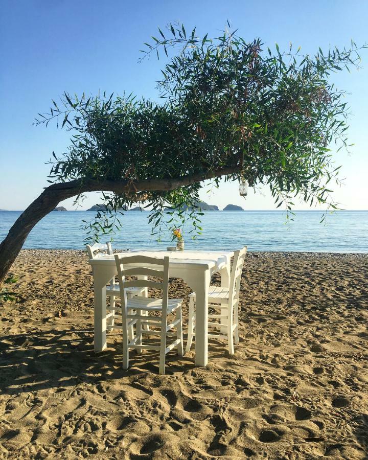 Yonca Lodge Fethiye Luaran gambar