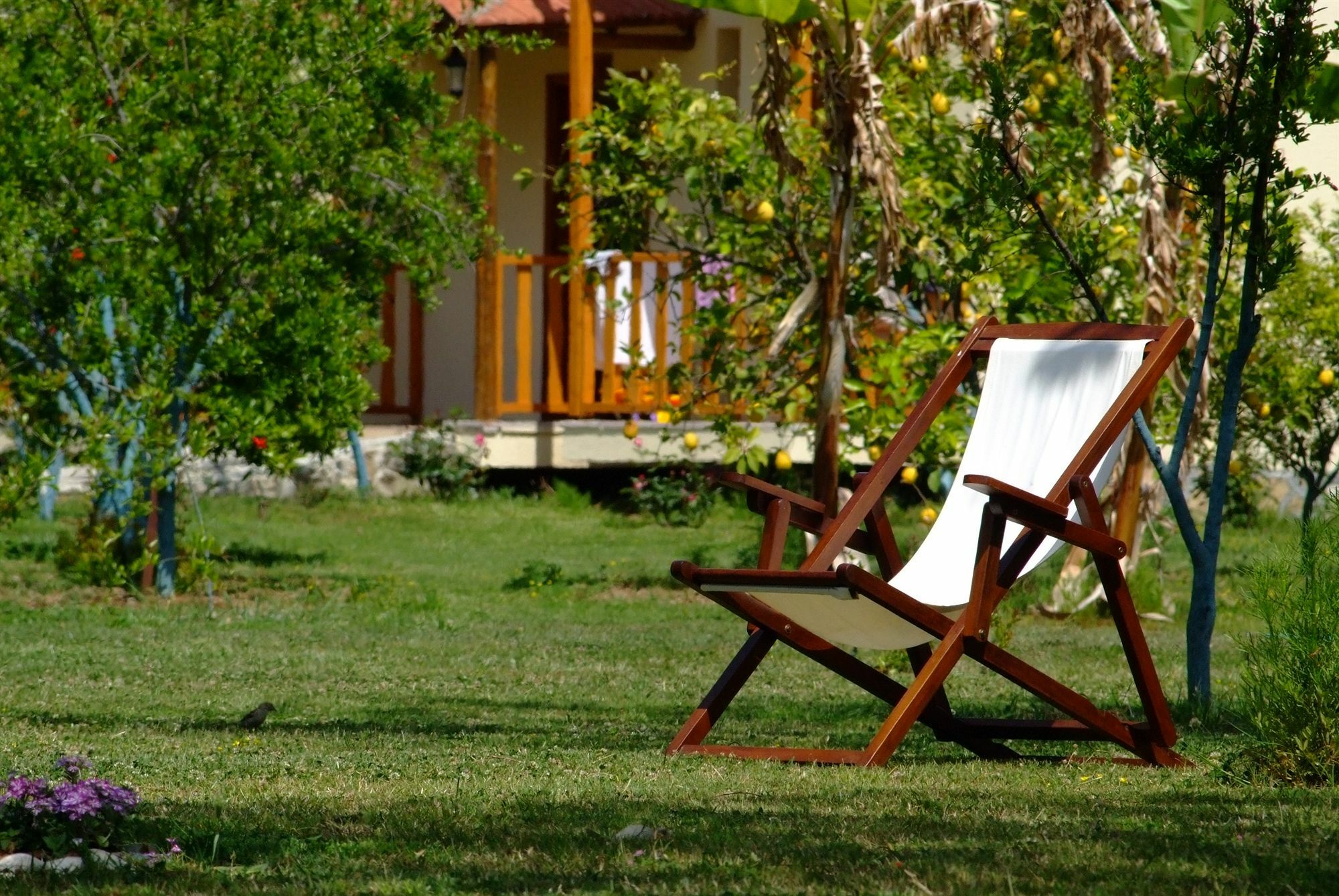 Yonca Lodge Fethiye Luaran gambar
